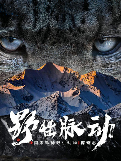 野性脉动——国家珍稀野生动物探奇志封面图
