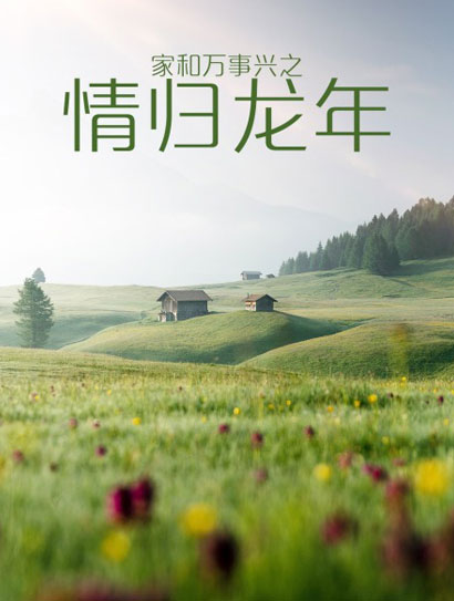 家和万事兴之情归龙年
