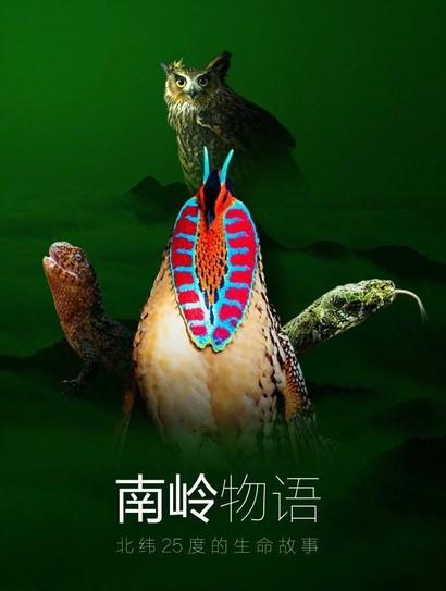 南岭物语封面图