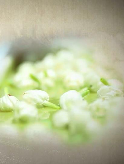 茉莉窨城封面图