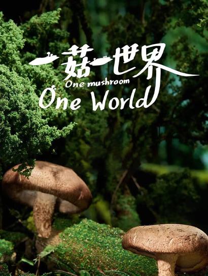 一菇一世界封面图