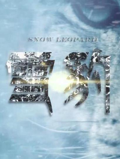 雪豹封面图