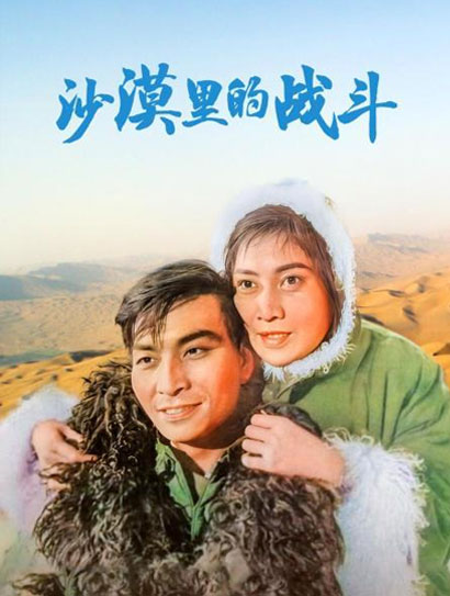 沙漠里的战斗