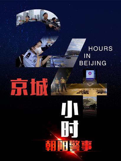 京城24小时之朝阳警事封面图