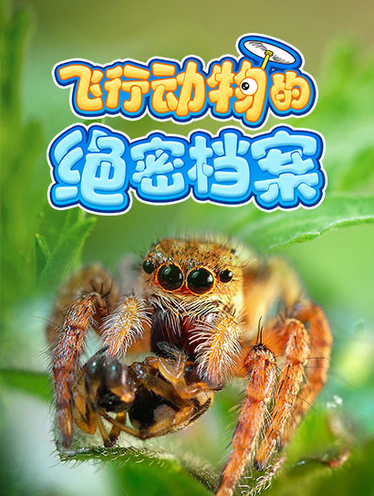 超级小飞侠封面图