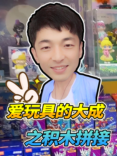 爱玩具的大成之积木拼接封面图