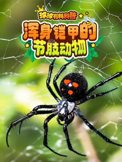 球球有料科普：浑身铠甲的节肢动物封面图