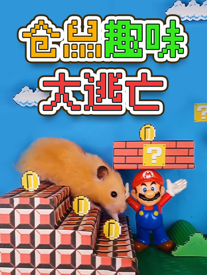 仓鼠趣味大逃亡封面图
