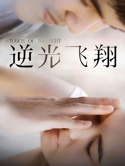 逆光飞翔