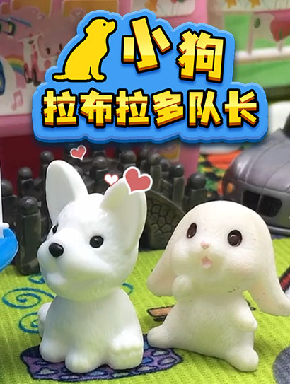 小狗拉布拉多队长封面图