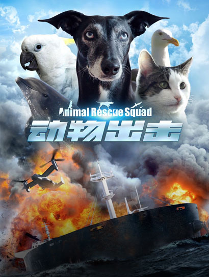 动物出击