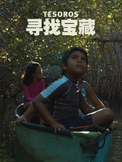 寻找宝藏封面图