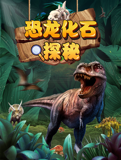 恐龙化石探秘封面图