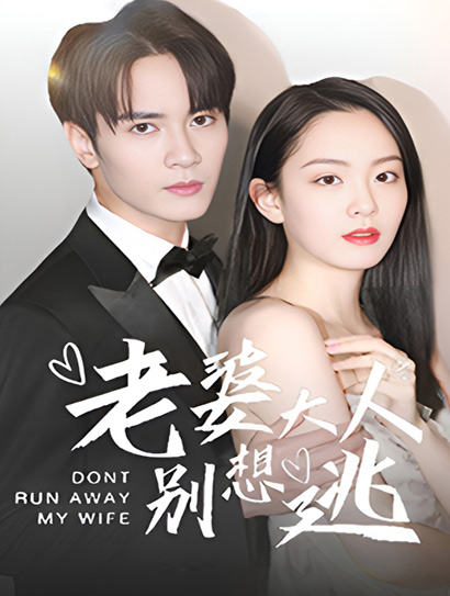老婆大人别想逃封面图
