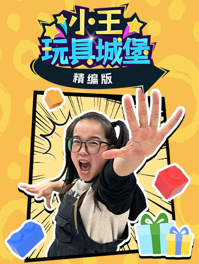 小王玩具城堡精编版封面图