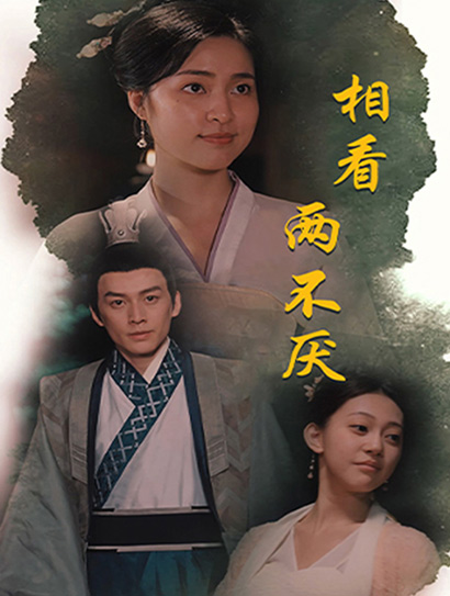 相看两不厌封面图