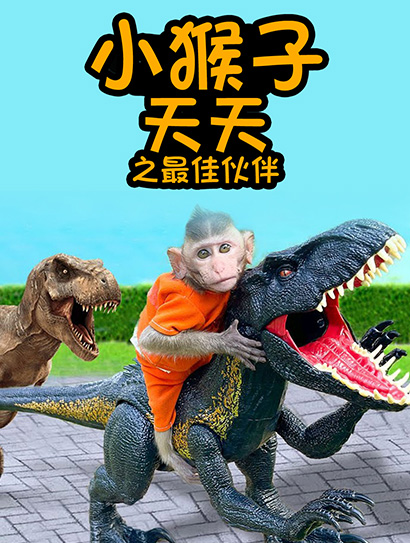 小猴子天天之最佳伙伴封面图