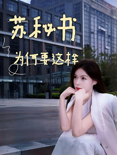 苏秘书为何这样封面图