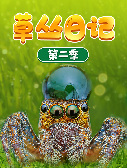 草丛日记第二季