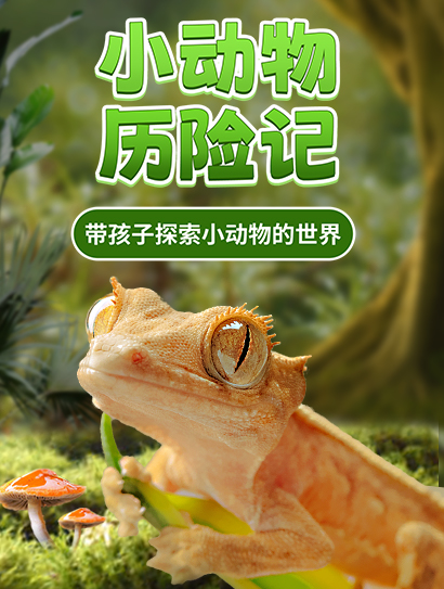 小动物历险记封面图