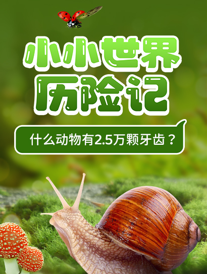 小小世界历险记 带孩子探秘小动物的世界封面图