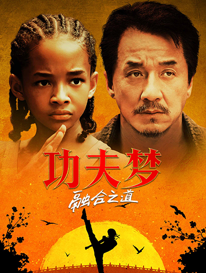 功夫梦：融合之道普通话封面图