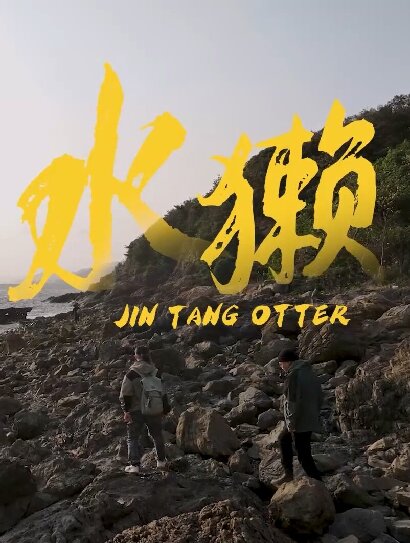 金塘水獭封面图