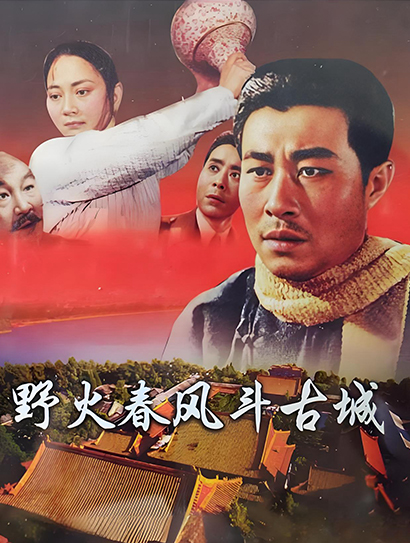野火春风斗古城封面图