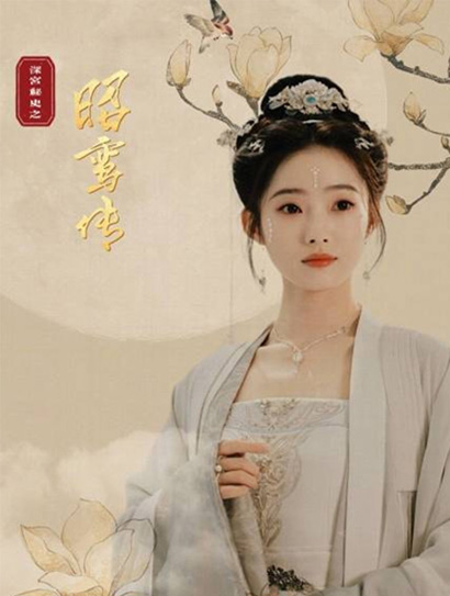 深宫秘史之昭鸾传