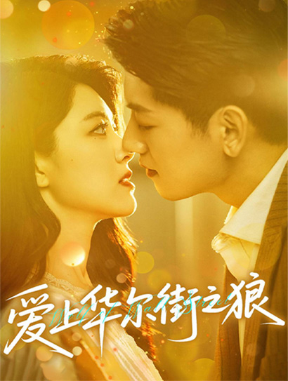 爱上华尔街之狼