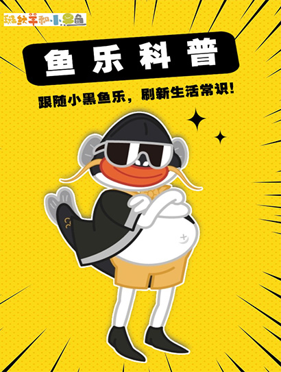 鱼乐科普