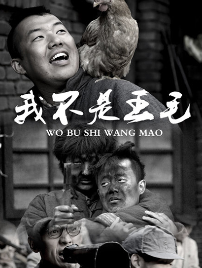 我不是王毛封面图