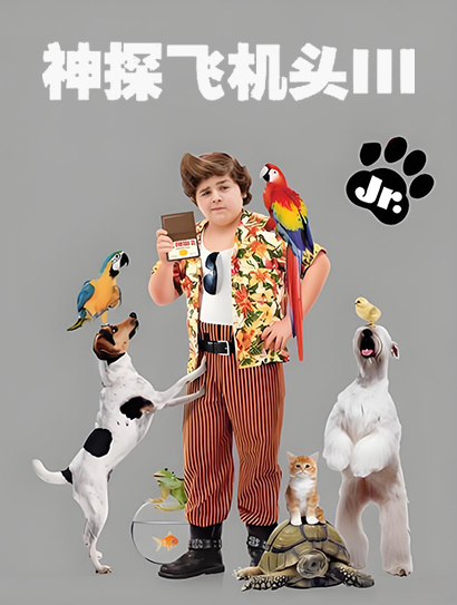 神探飞机头3