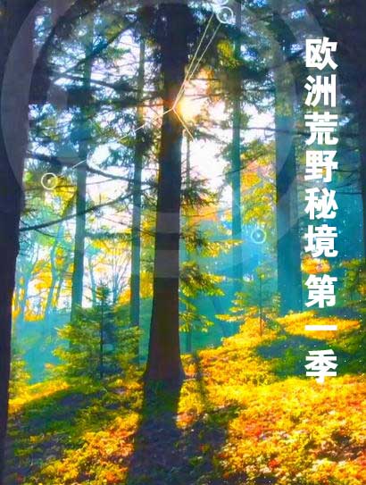 欧洲荒野秘境 第一季封面图