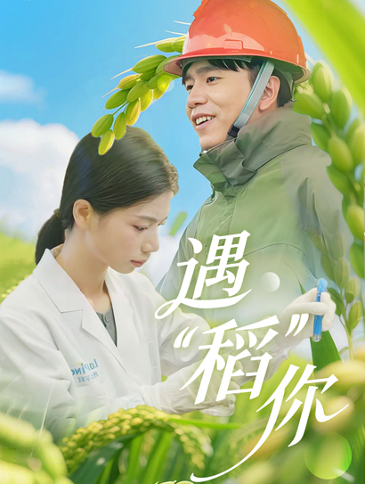 遇“稻”你封面图