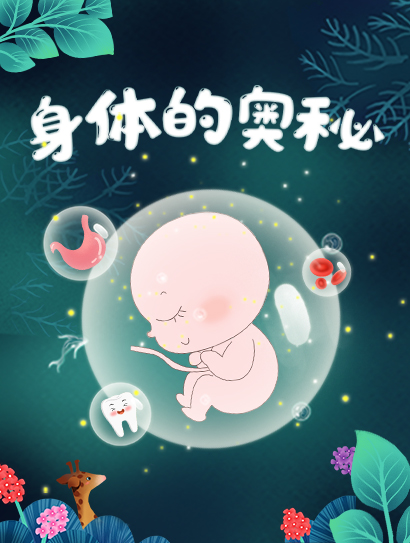身体的奥秘封面图