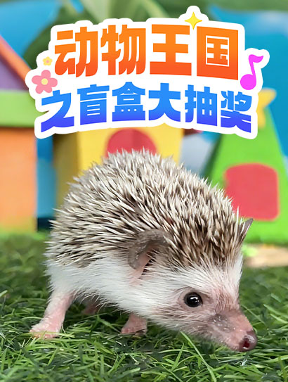 动物王国之盲盒大抽奖封面图