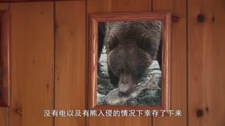 浪迹荒野1