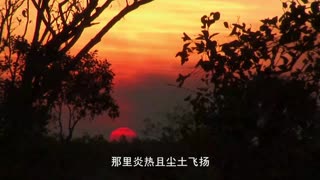 浪迹荒野7