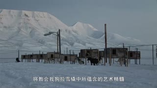 浪迹荒野5